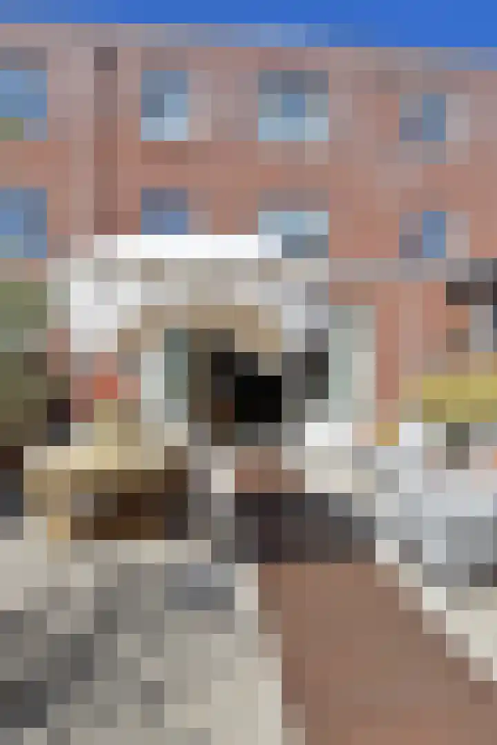 Markgraaflaan 92 Den Haag thumbnail 44