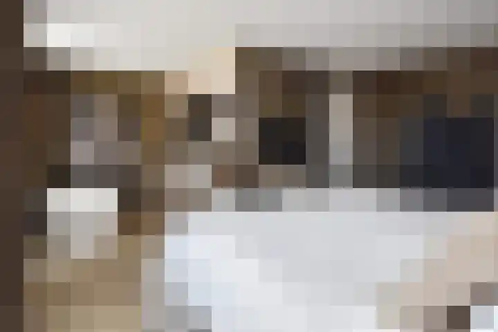 Markgraaflaan 92 Den Haag thumbnail 87