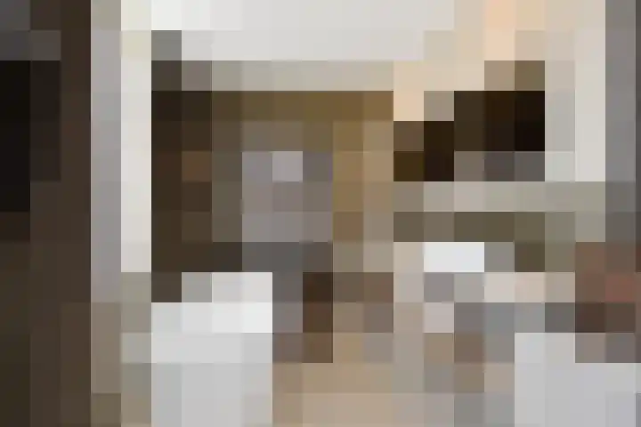 Markgraaflaan 92 Den Haag thumbnail 88