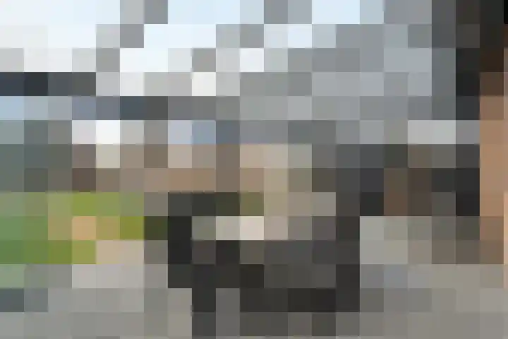 Markgravenweg 37 Almelo thumbnail 25