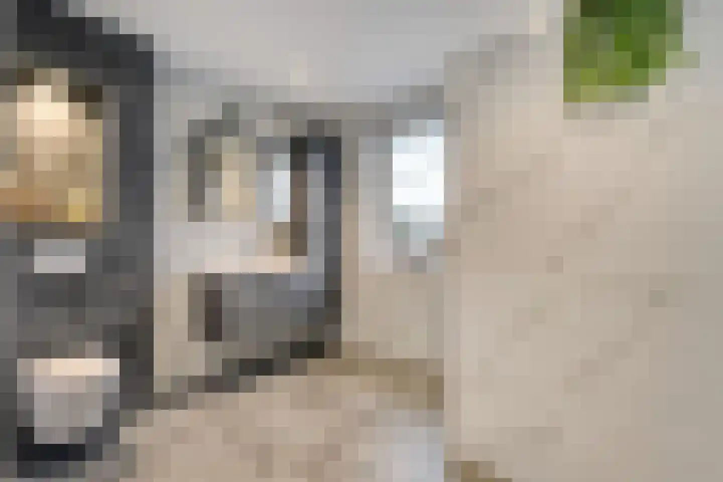 Markgravenweg 37 Almelo thumbnail 5