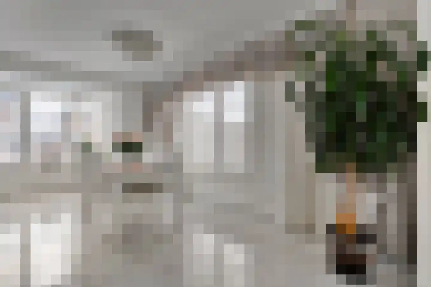 Markgravenweg 37 Almelo thumbnail 8
