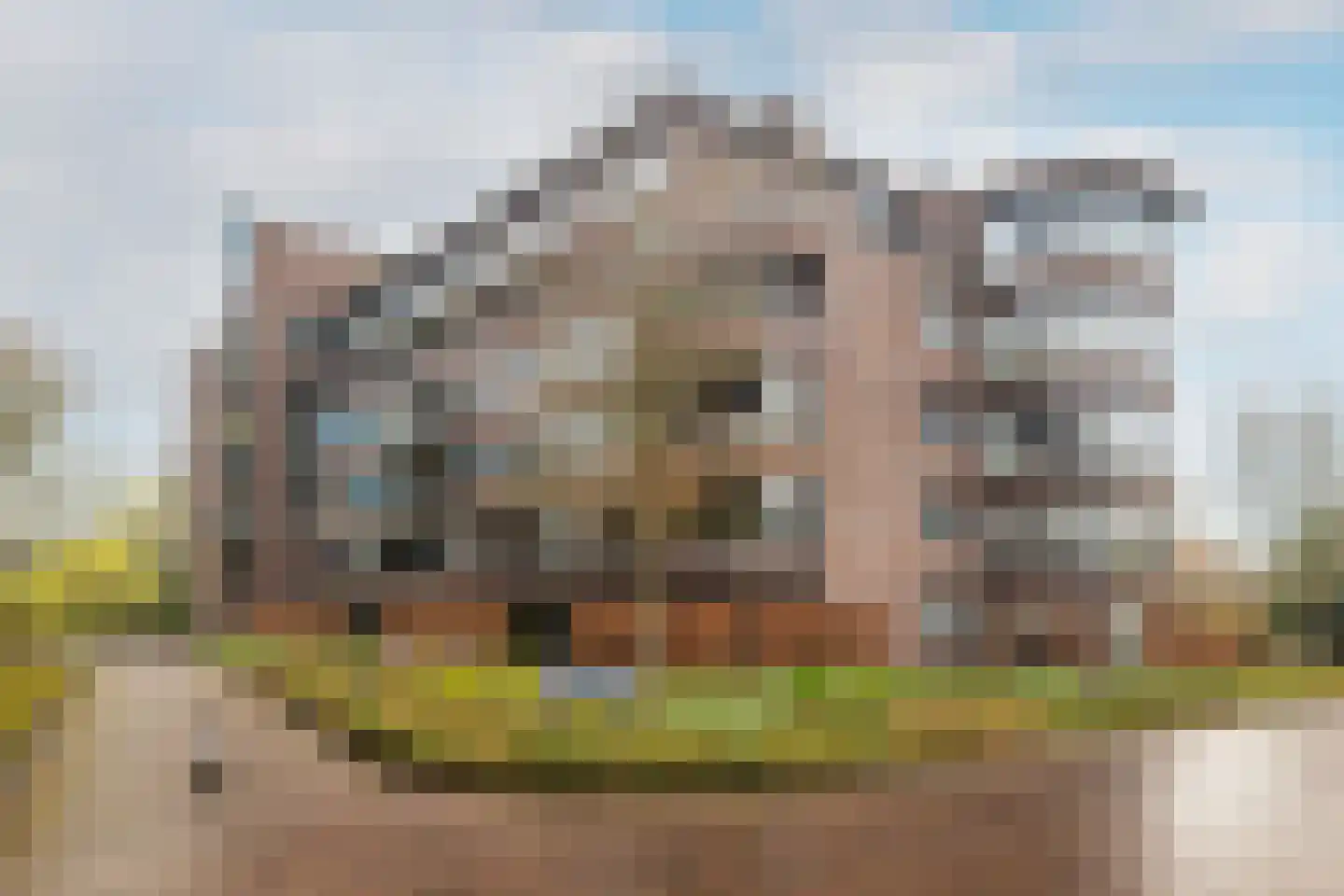Markhoek 83 Breda