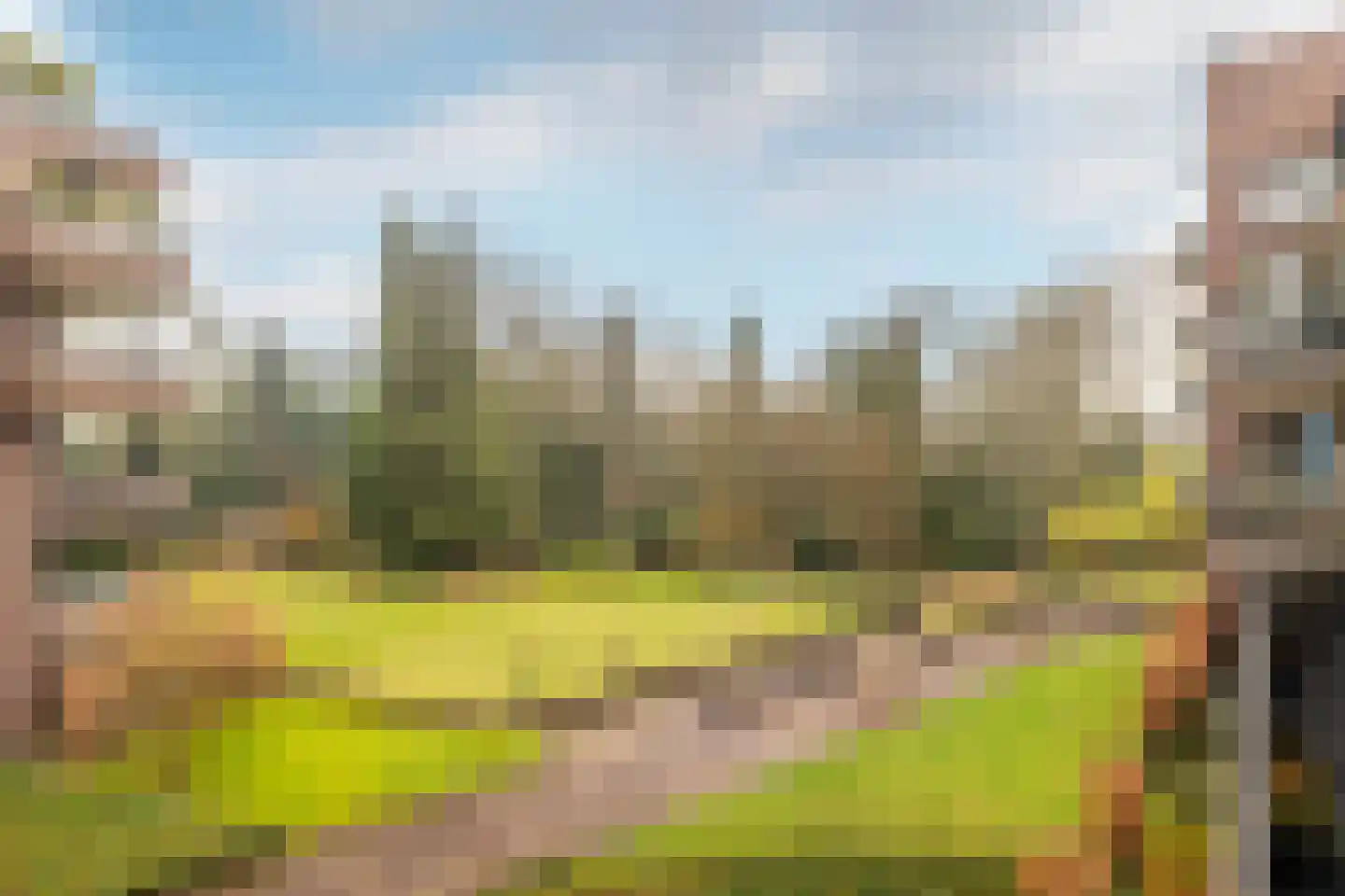 Markhoek 83 Breda thumbnail 16