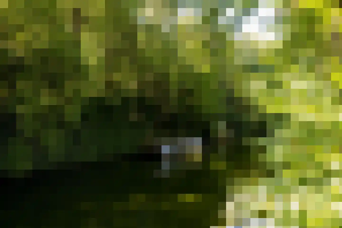 Markhoek 83 Breda thumbnail 87