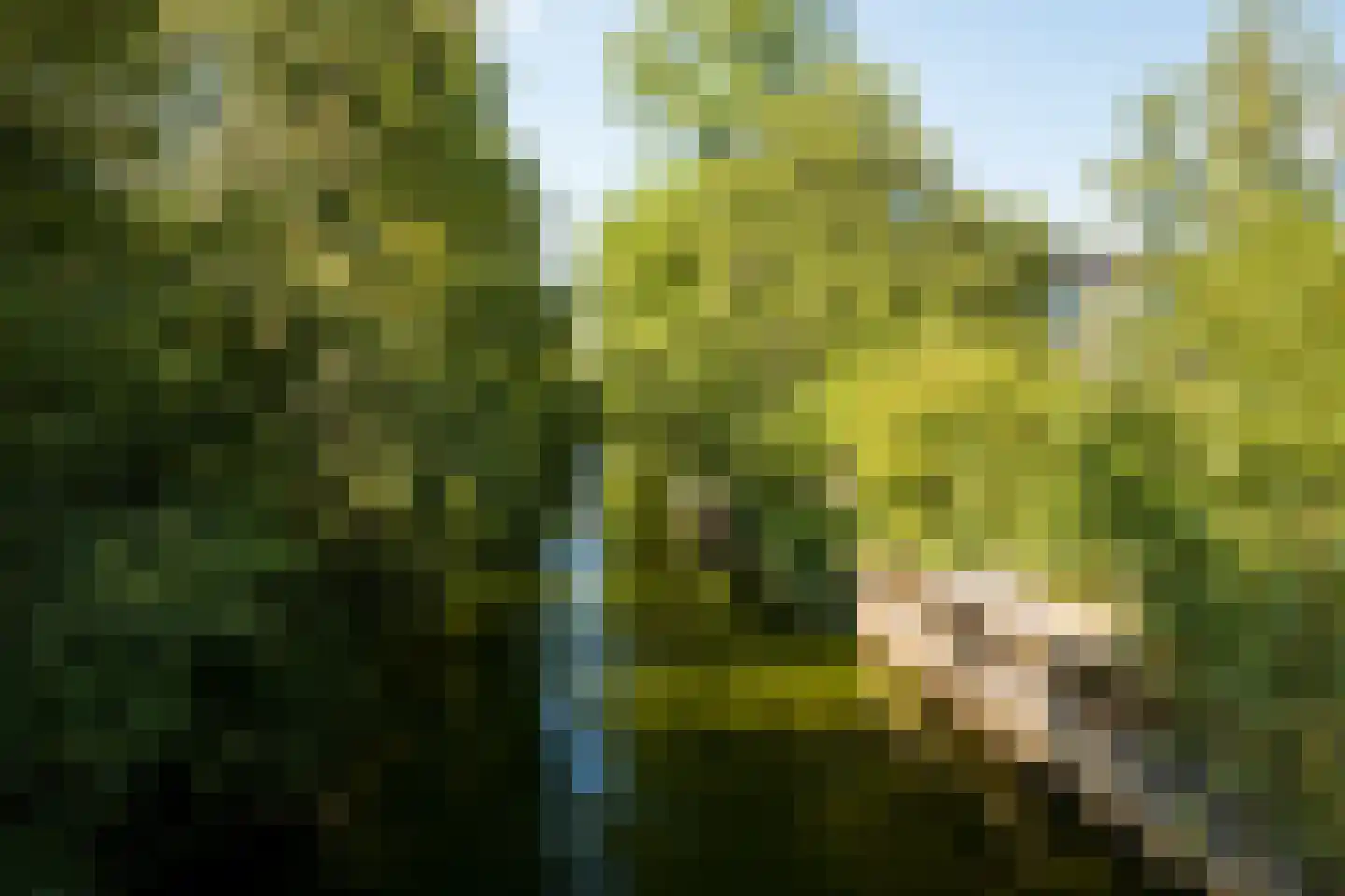 Markhoek 83 Breda thumbnail 88