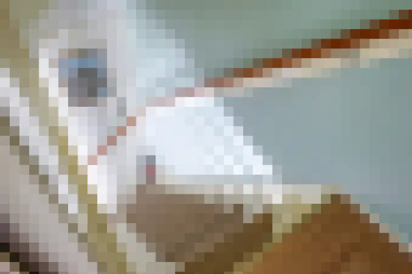 Markhorst 7 Doetinchem thumbnail 24