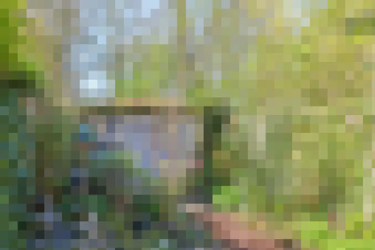Markhorst 7 Doetinchem thumbnail 40