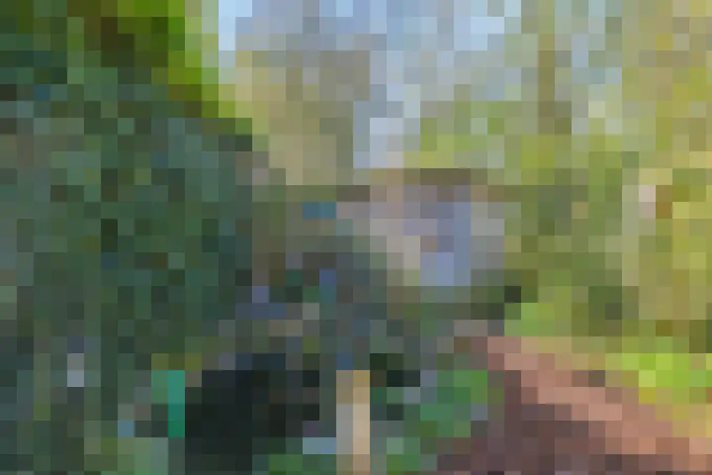 Markhorst 7 Doetinchem thumbnail 41