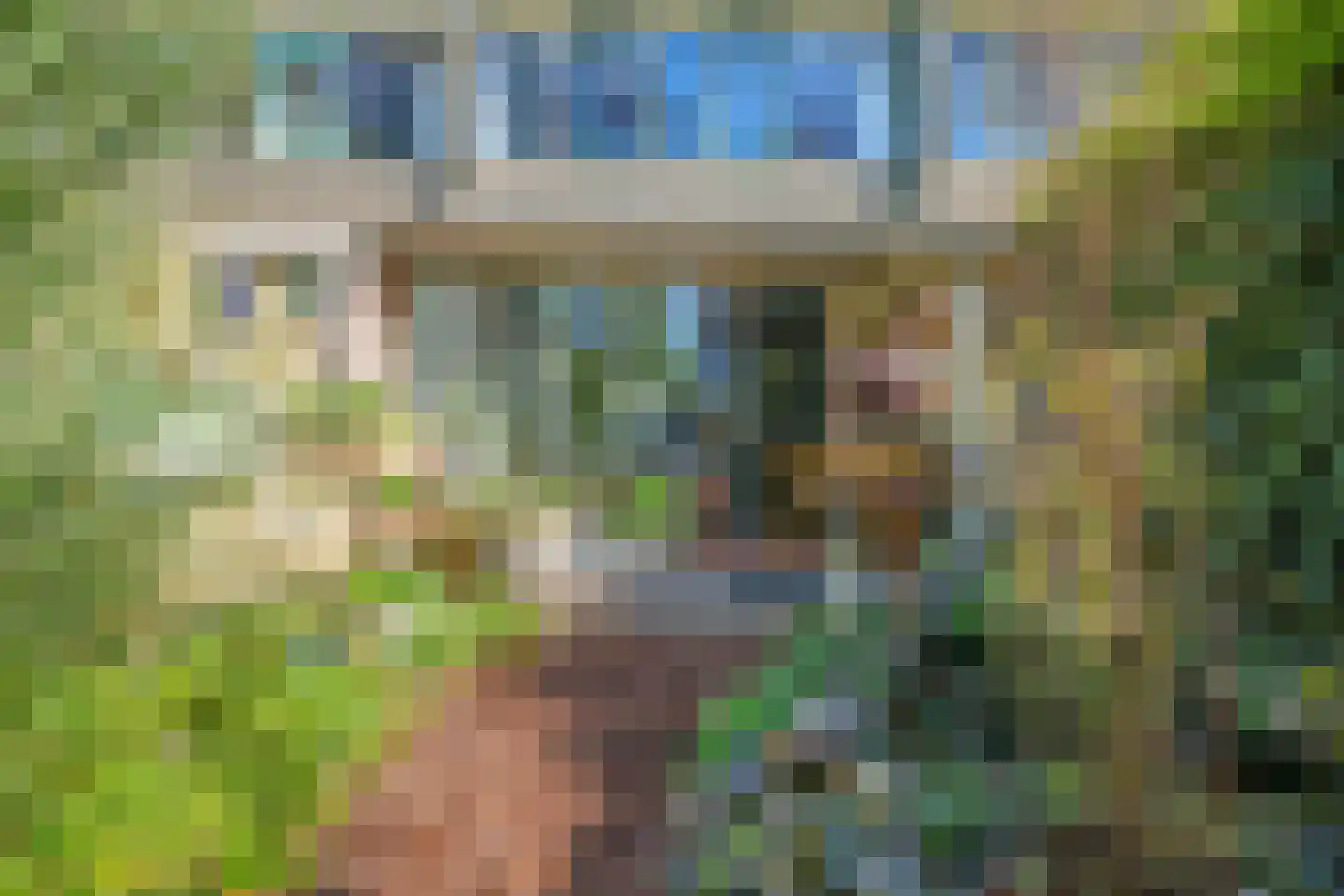 Markhorst 7 Doetinchem thumbnail 43