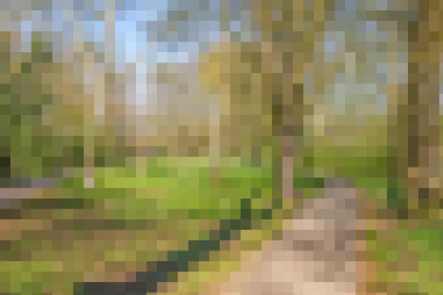 Markhorst 7 Doetinchem thumbnail 50