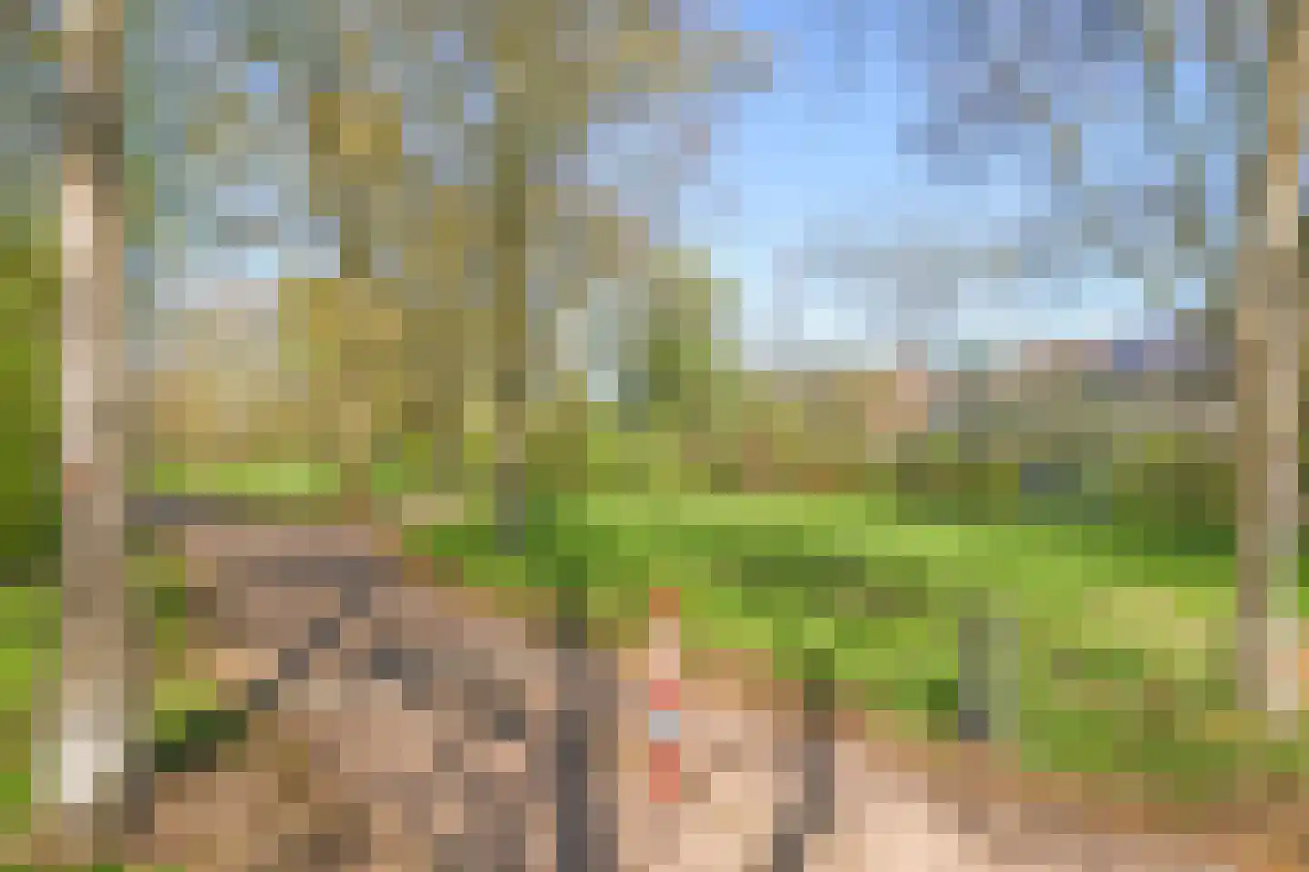 Markhorst 7 Doetinchem thumbnail 51