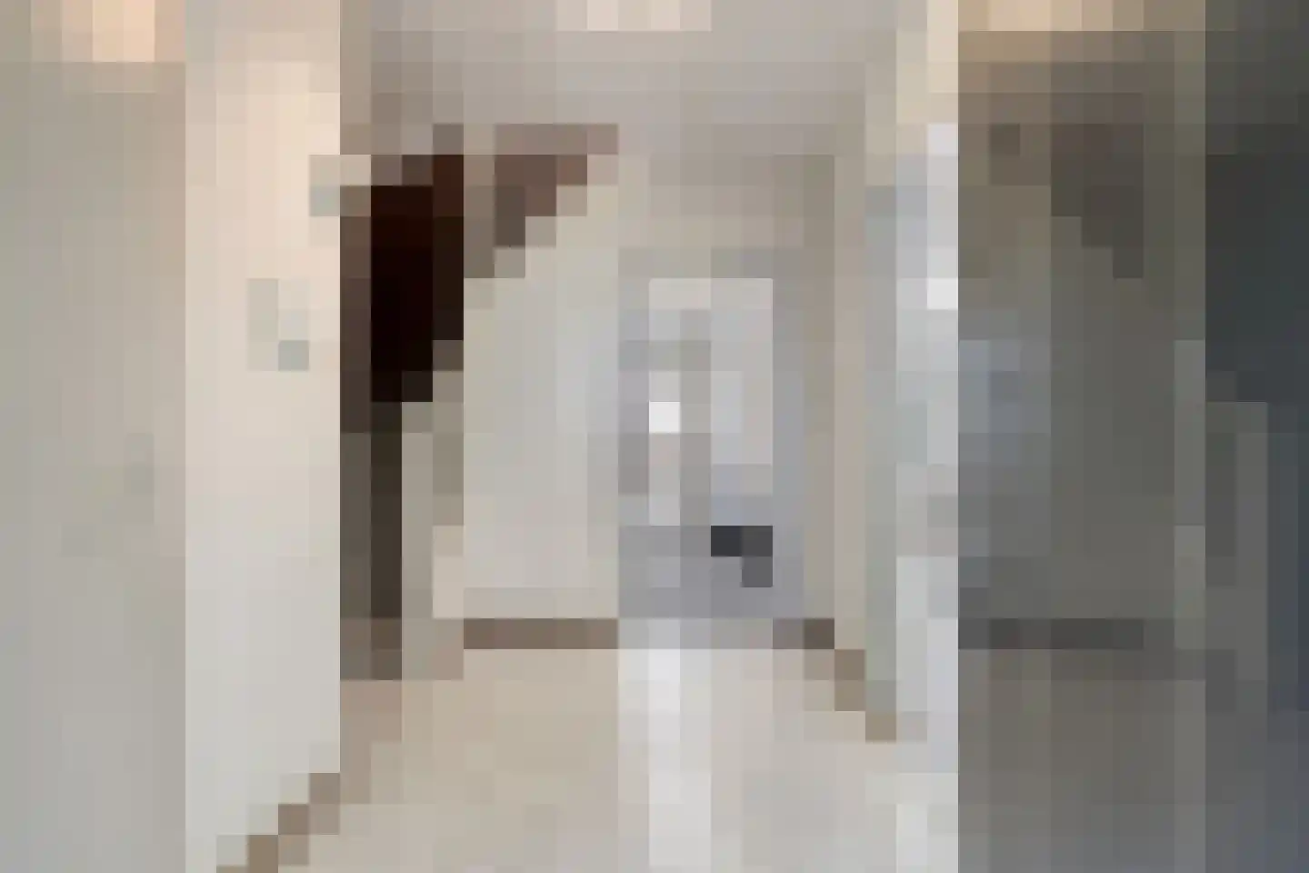 Markies de Schenkweg 16 Nieuwstadt thumbnail 10