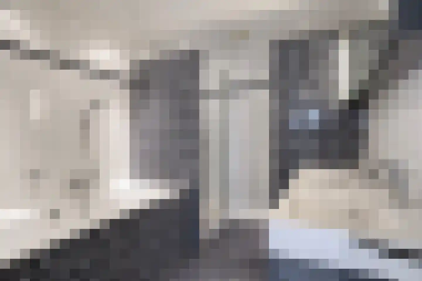 Markies de Schenkweg 16 Nieuwstadt thumbnail 25