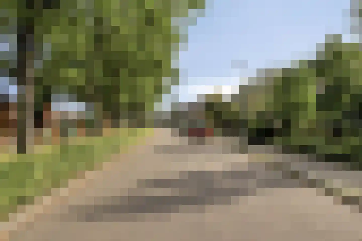Markies de Schenkweg 16 Nieuwstadt foto 3