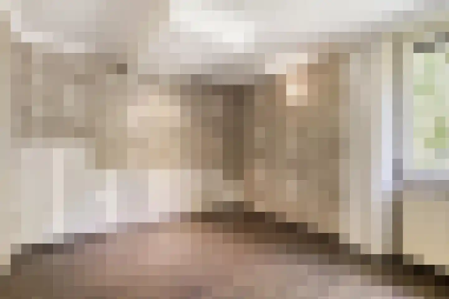 Markies de Schenkweg 16 Nieuwstadt thumbnail 33