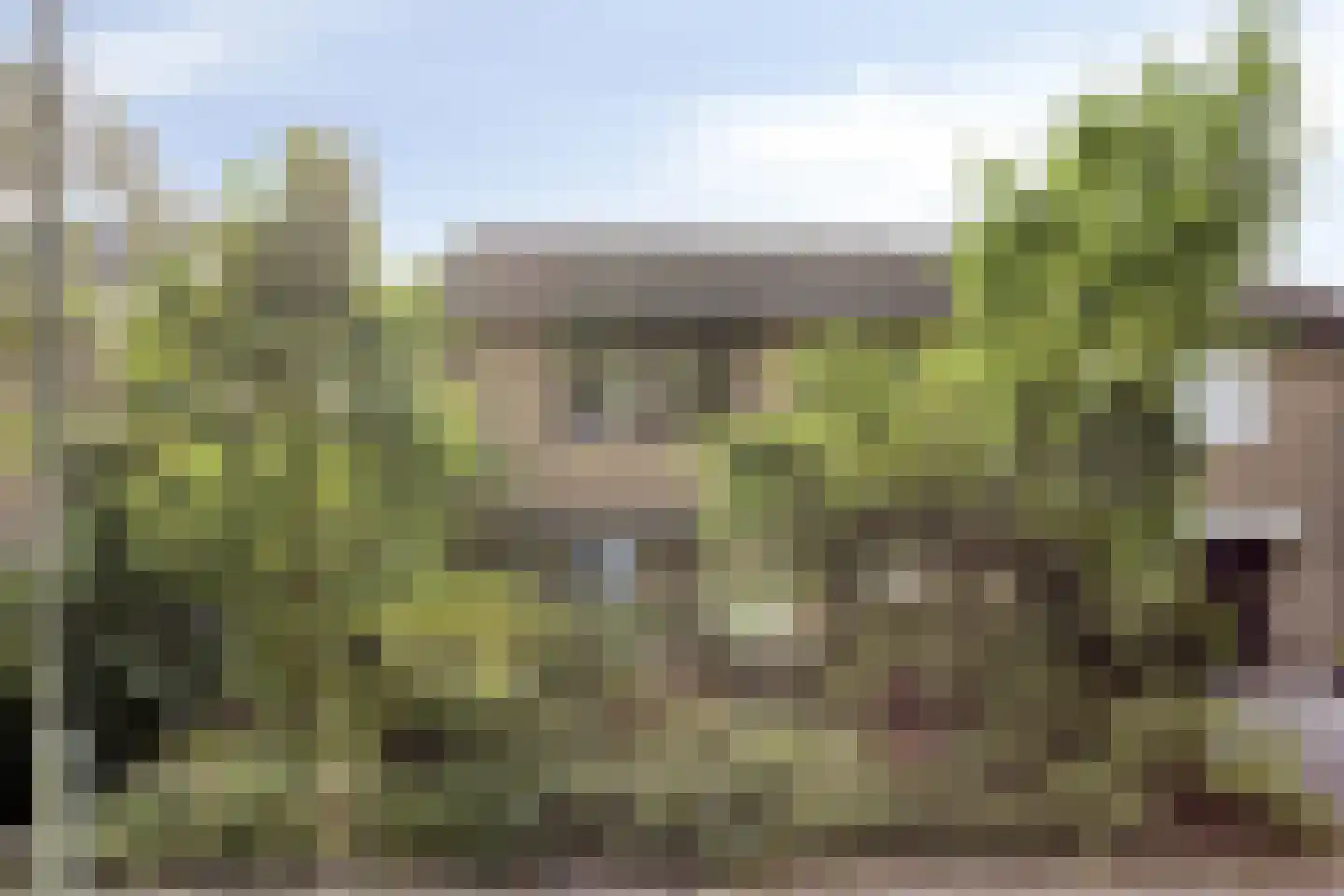 Markies de Schenkweg 16 Nieuwstadt thumbnail 4