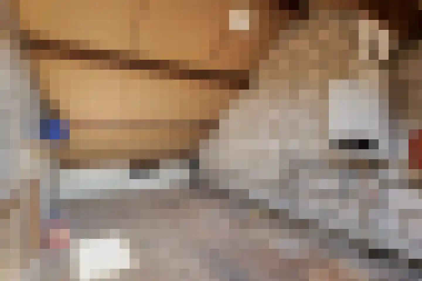 Markies de Schenkweg 16 Nieuwstadt thumbnail 42