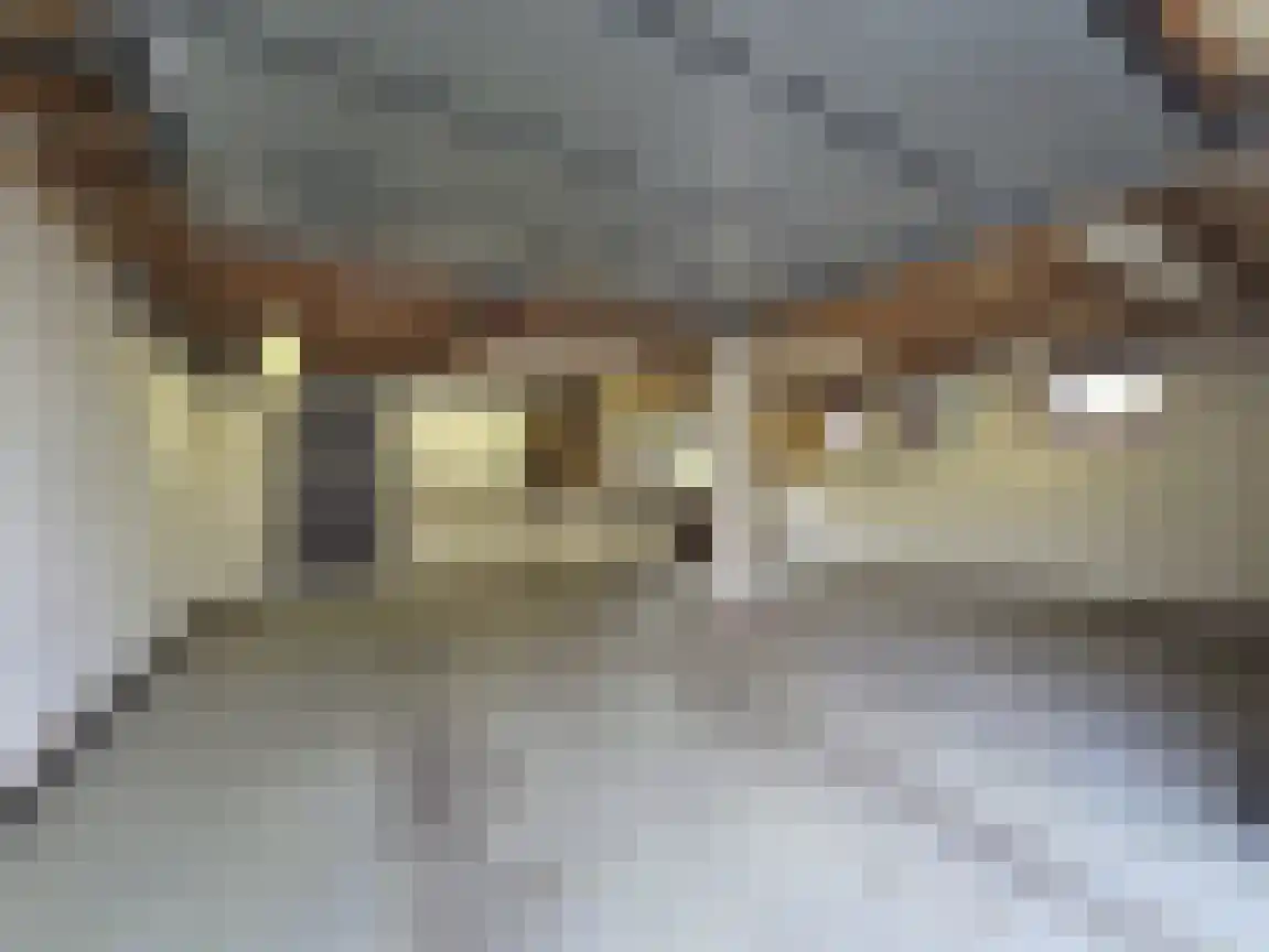Markies de Schenkweg 16 Nieuwstadt thumbnail 47