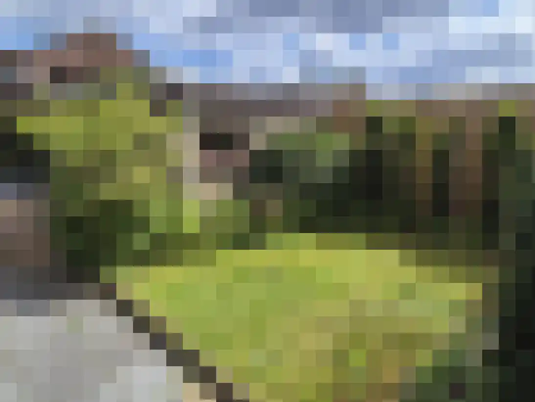 Markies de Schenkweg 16 Nieuwstadt thumbnail 53