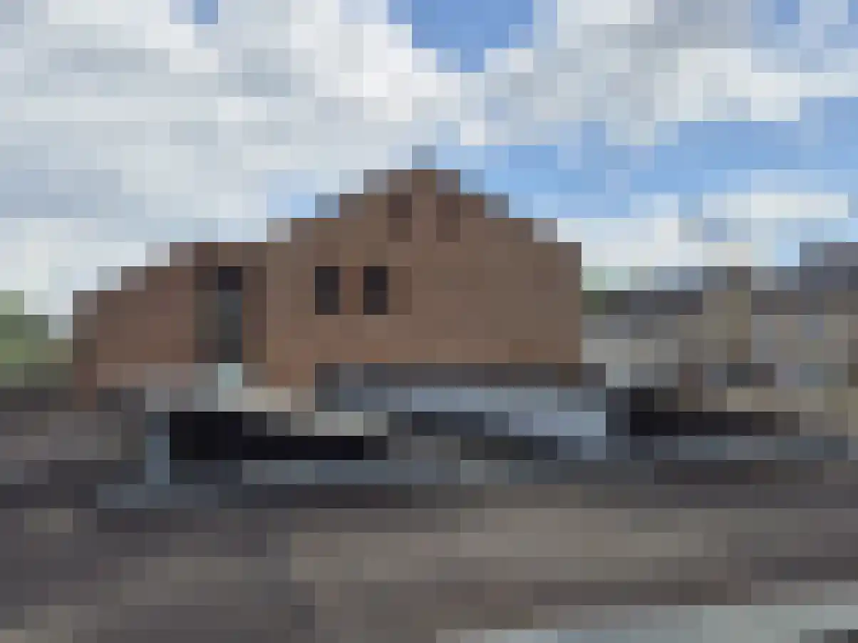 Markies de Schenkweg 16 Nieuwstadt thumbnail 54