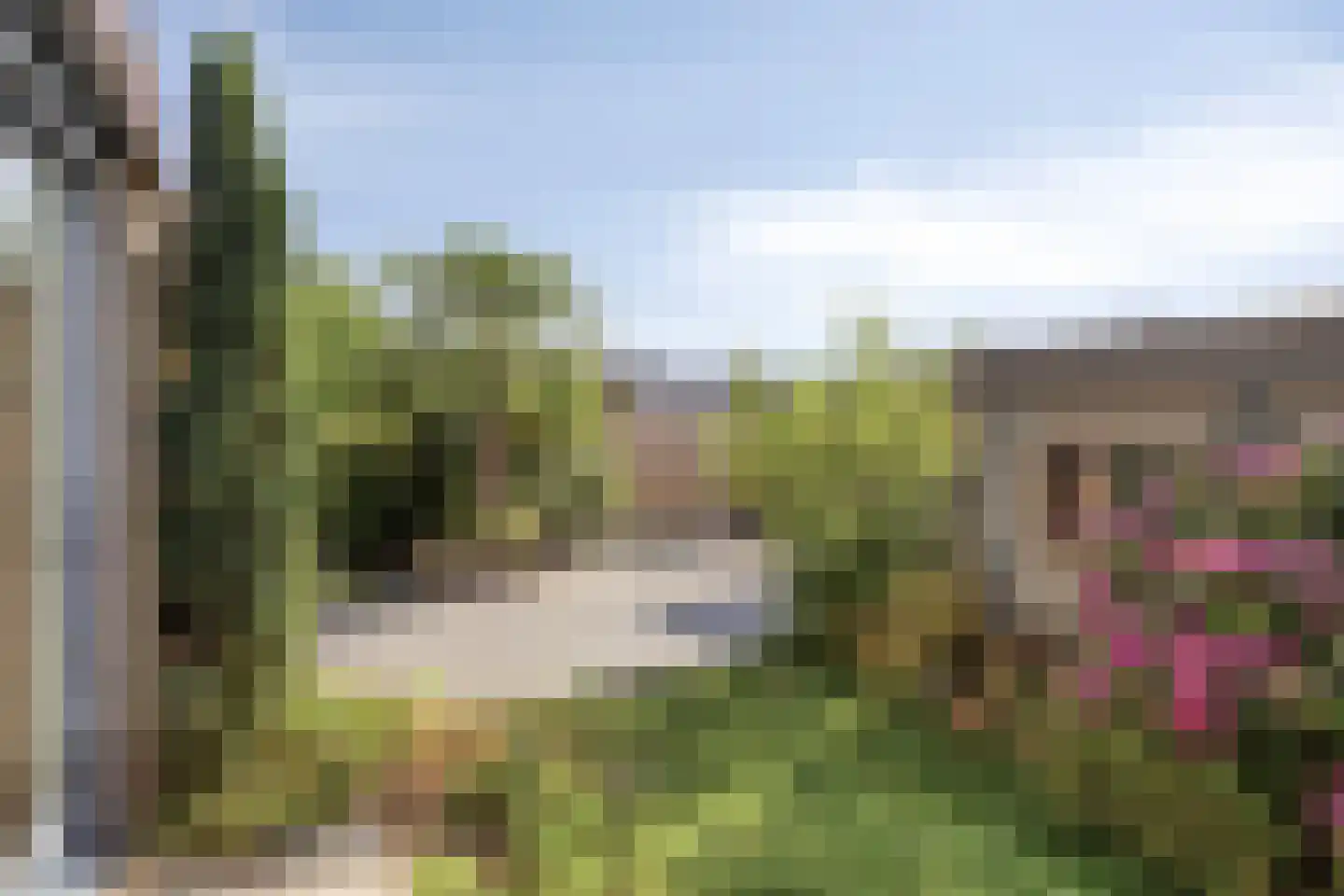 Markies de Schenkweg 16 Nieuwstadt thumbnail 55