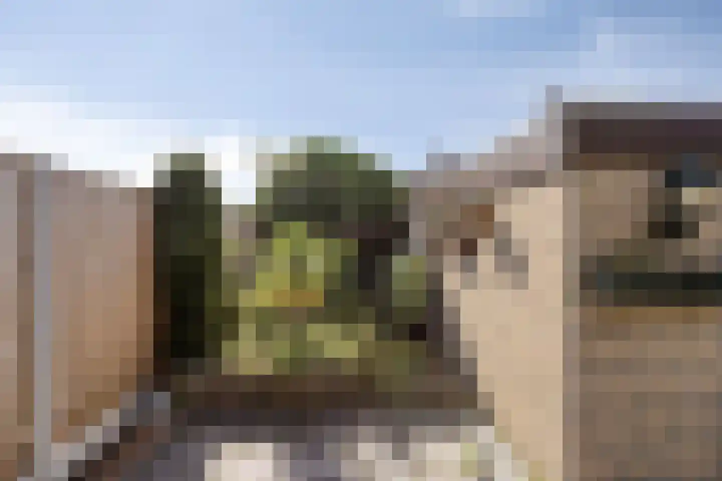Markies de Schenkweg 16 Nieuwstadt thumbnail 57
