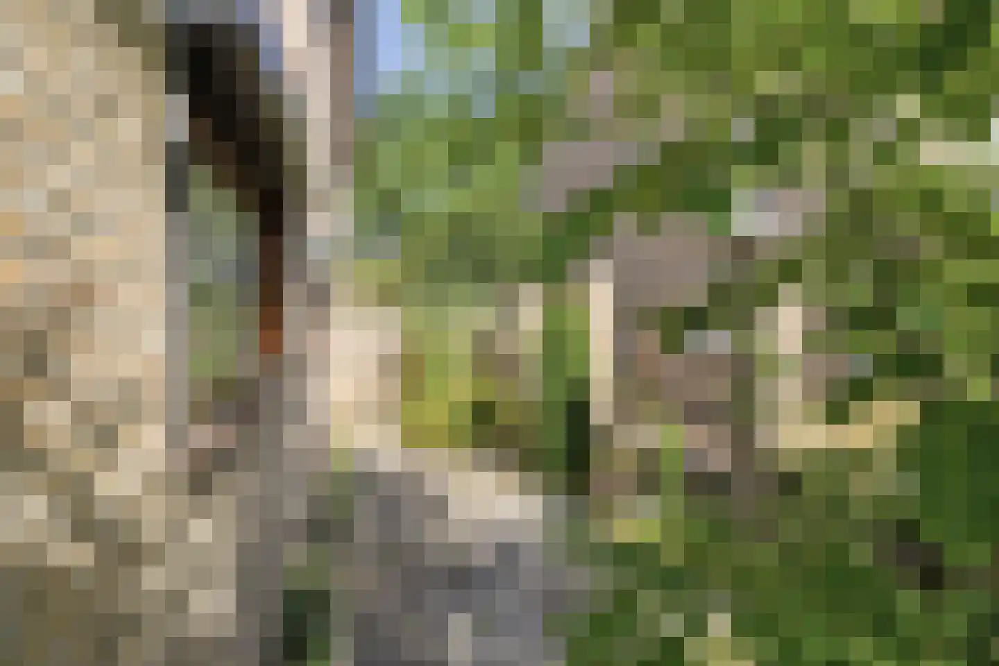 Markies de Schenkweg 16 Nieuwstadt thumbnail 58