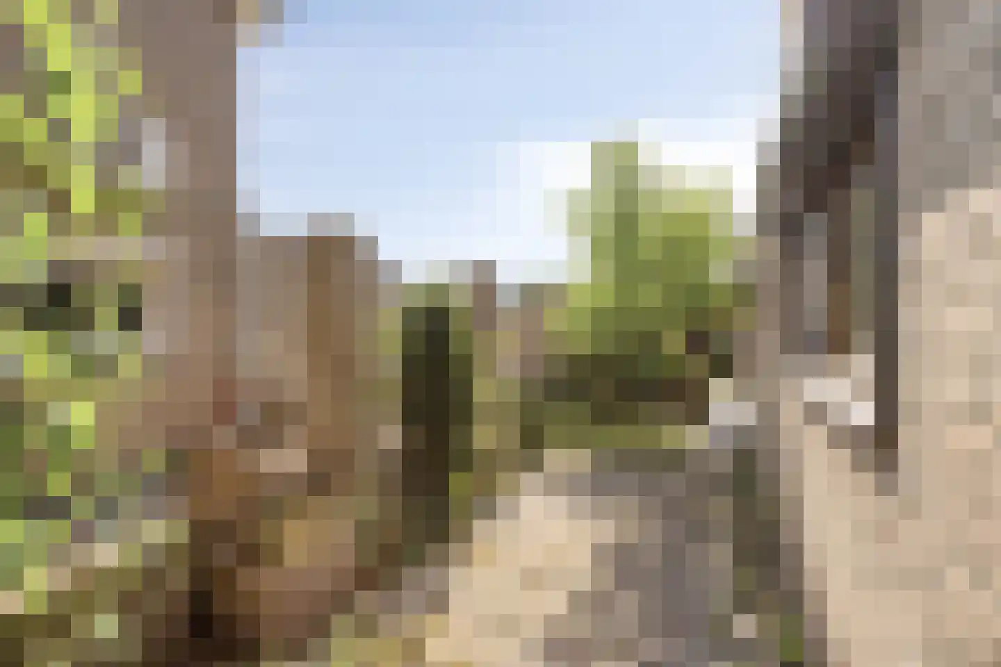 Markies de Schenkweg 16 Nieuwstadt thumbnail 59