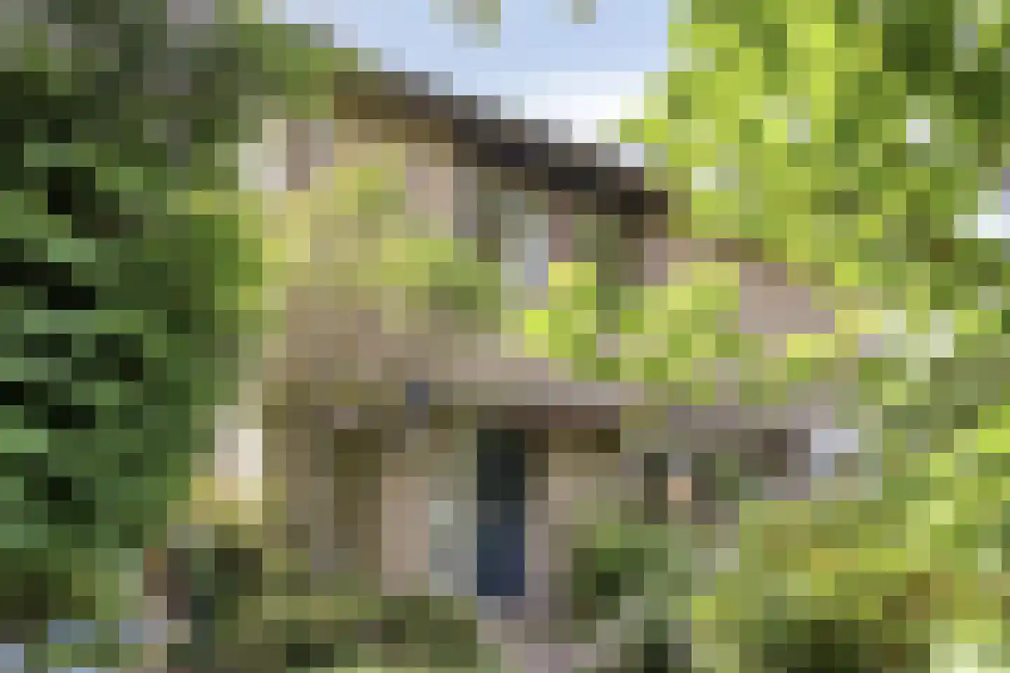 Markies de Schenkweg 16 Nieuwstadt thumbnail 6