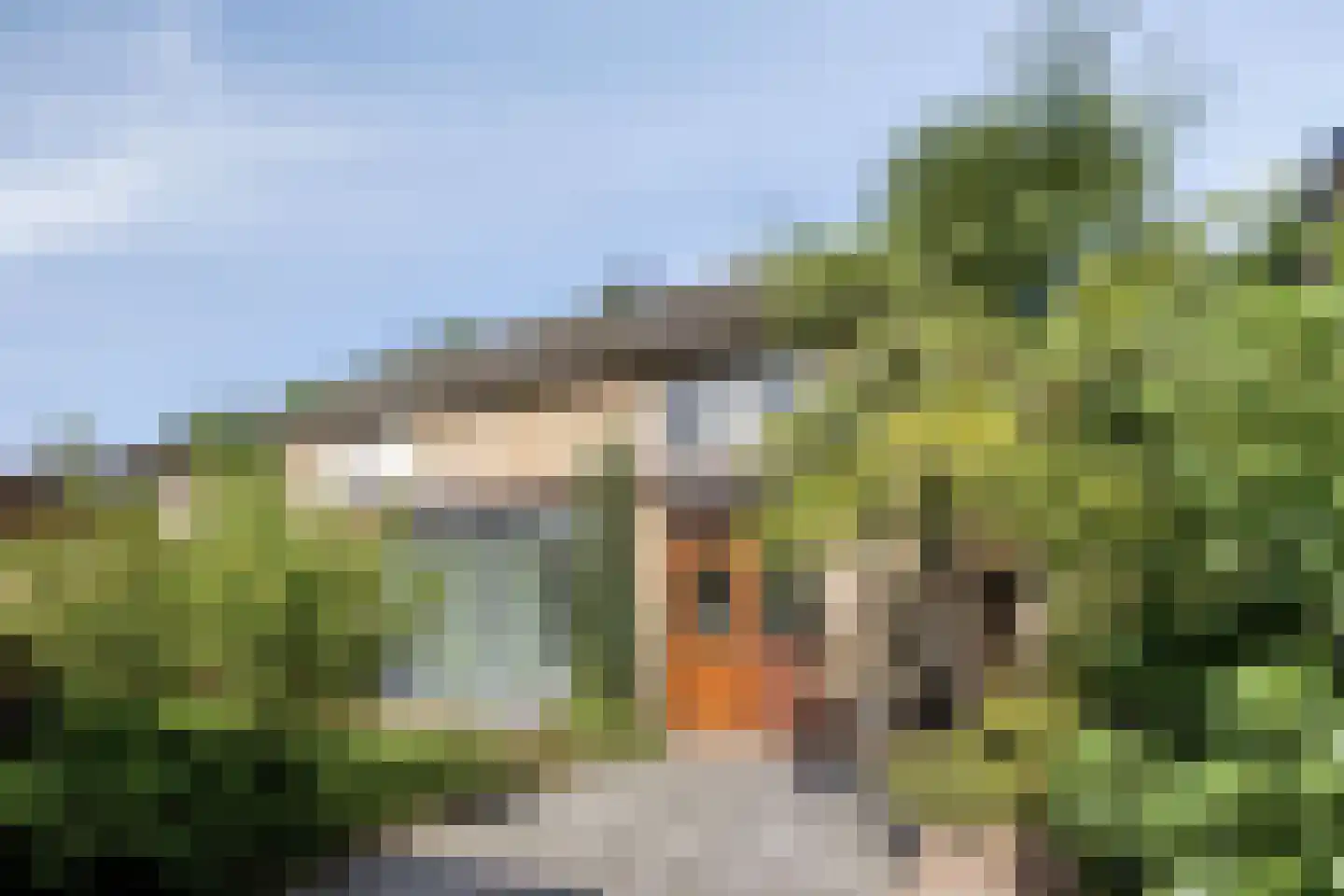 Markies de Schenkweg 16 Nieuwstadt thumbnail 60