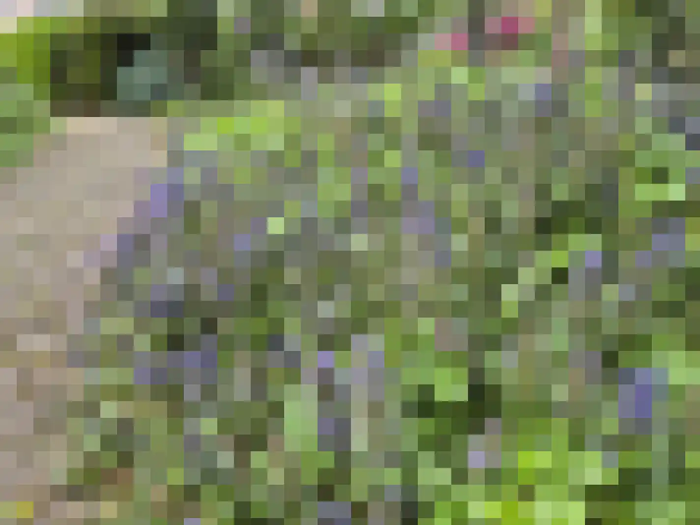 Markies de Schenkweg 16 Nieuwstadt thumbnail 65