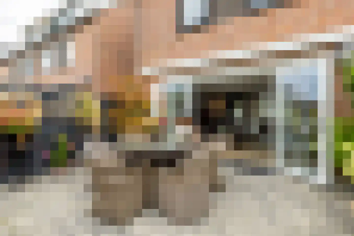 Markiespad 15 Amsterdam thumbnail 32