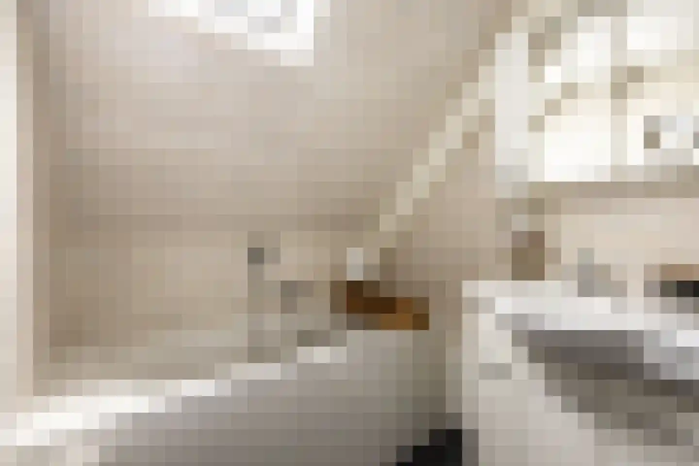 Markiespad 15 Amsterdam thumbnail 40