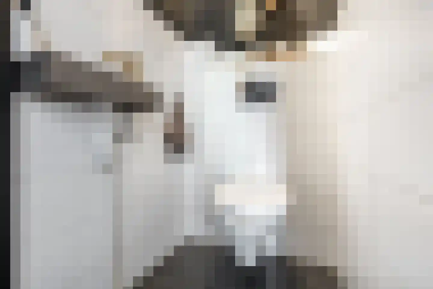 Markiespad 15 Amsterdam thumbnail 46