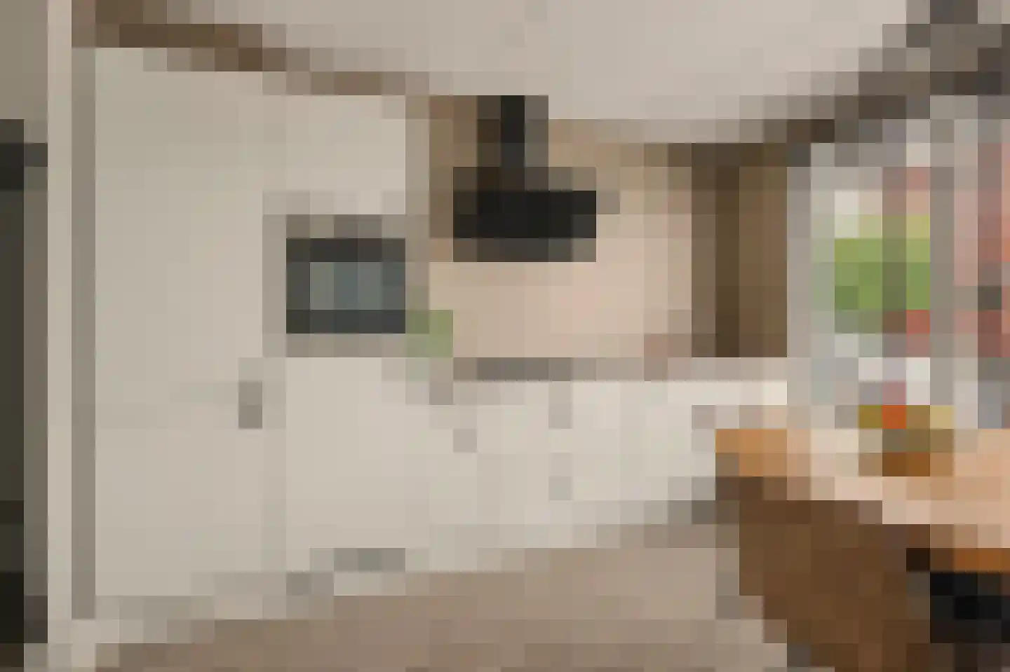Markiezaat 14 Chaam thumbnail 16