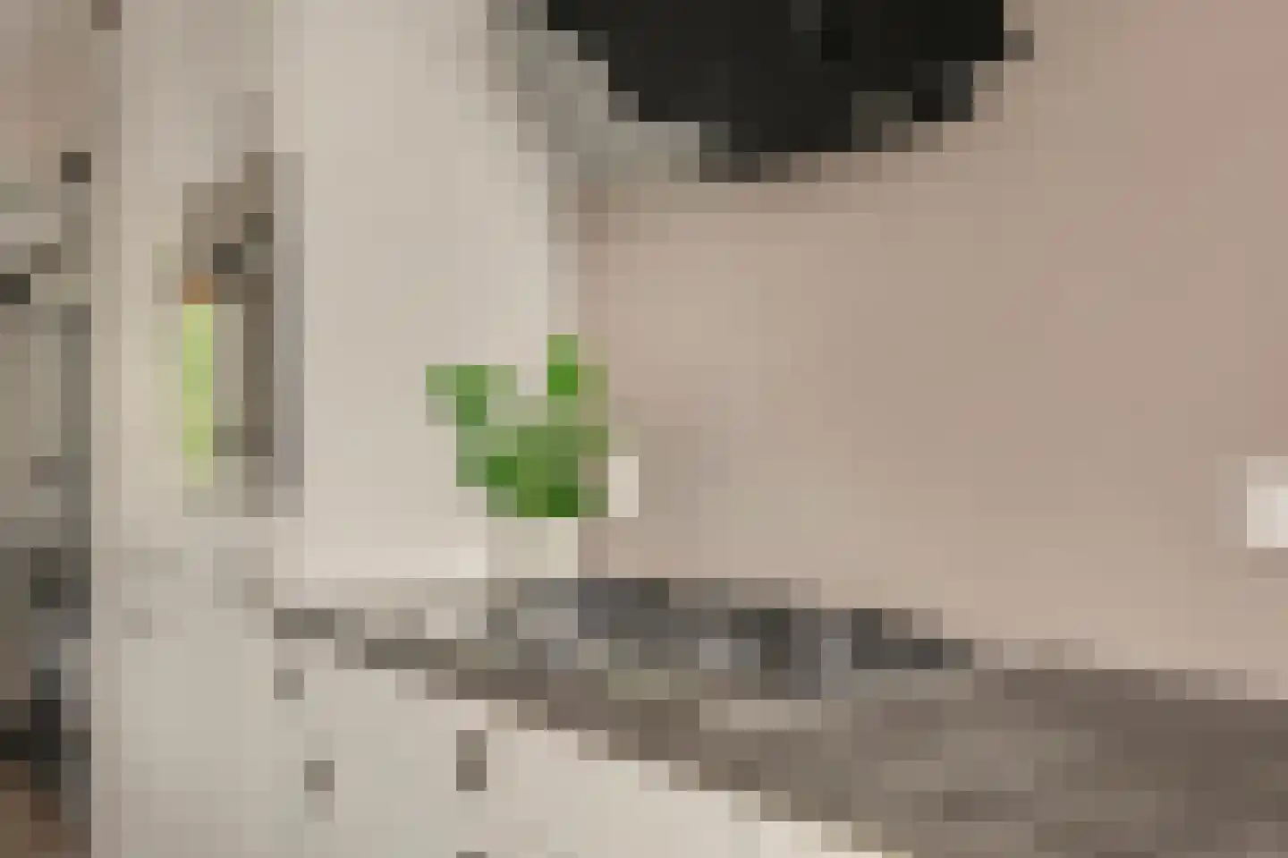 Markiezaat 14 Chaam thumbnail 17