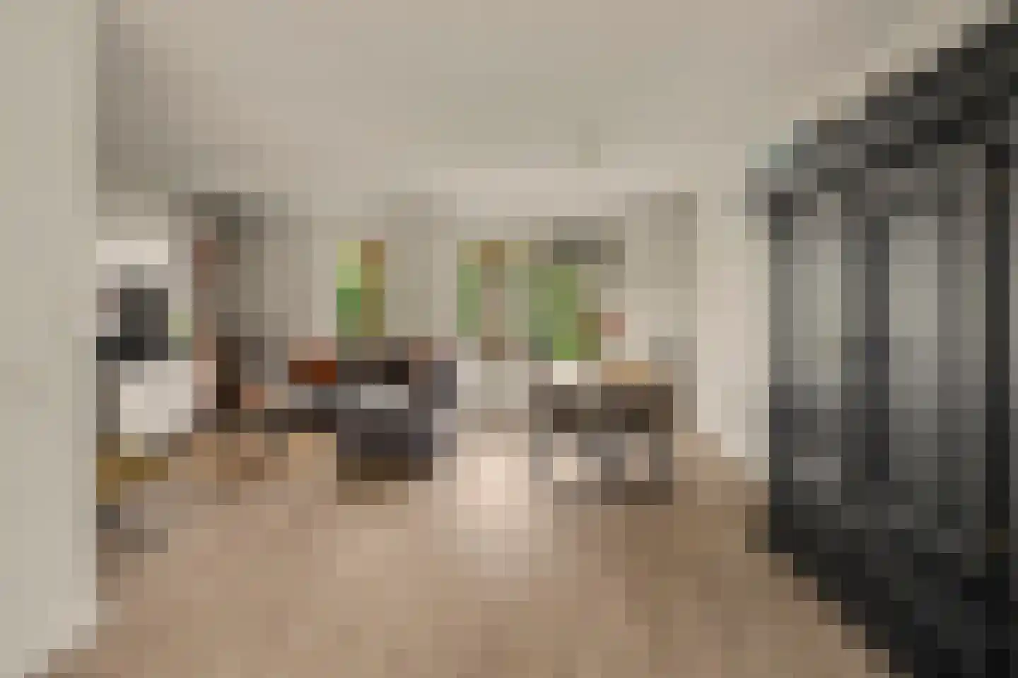 Markiezaat 14 Chaam thumbnail 19