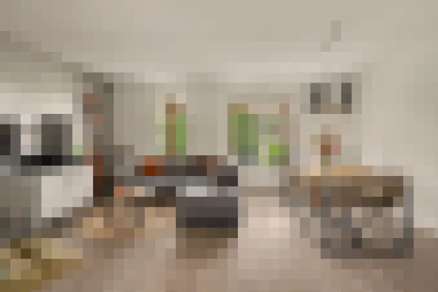 Markiezaat 14 Chaam thumbnail 20