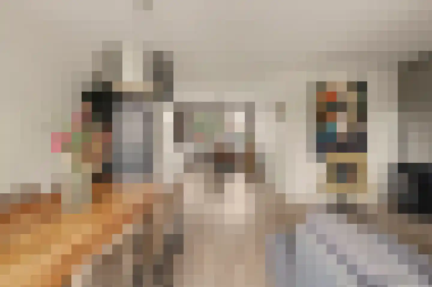 Markiezaat 14 Chaam thumbnail 23