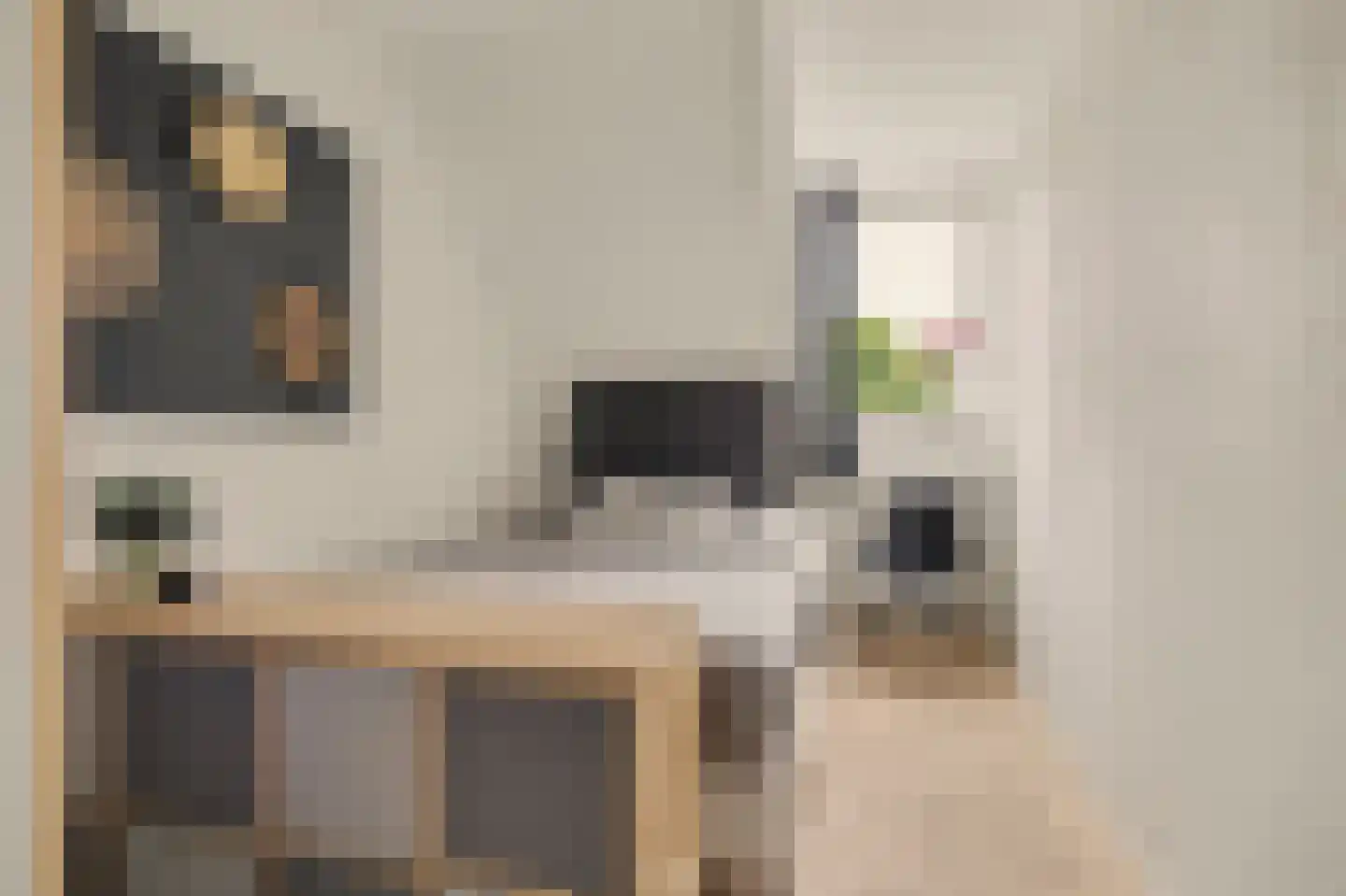 Markiezaat 14 Chaam thumbnail 31