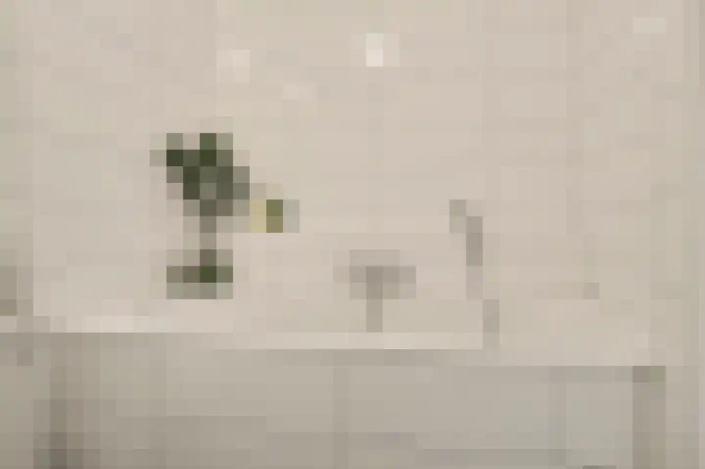 Markiezaat 14 Chaam thumbnail 33