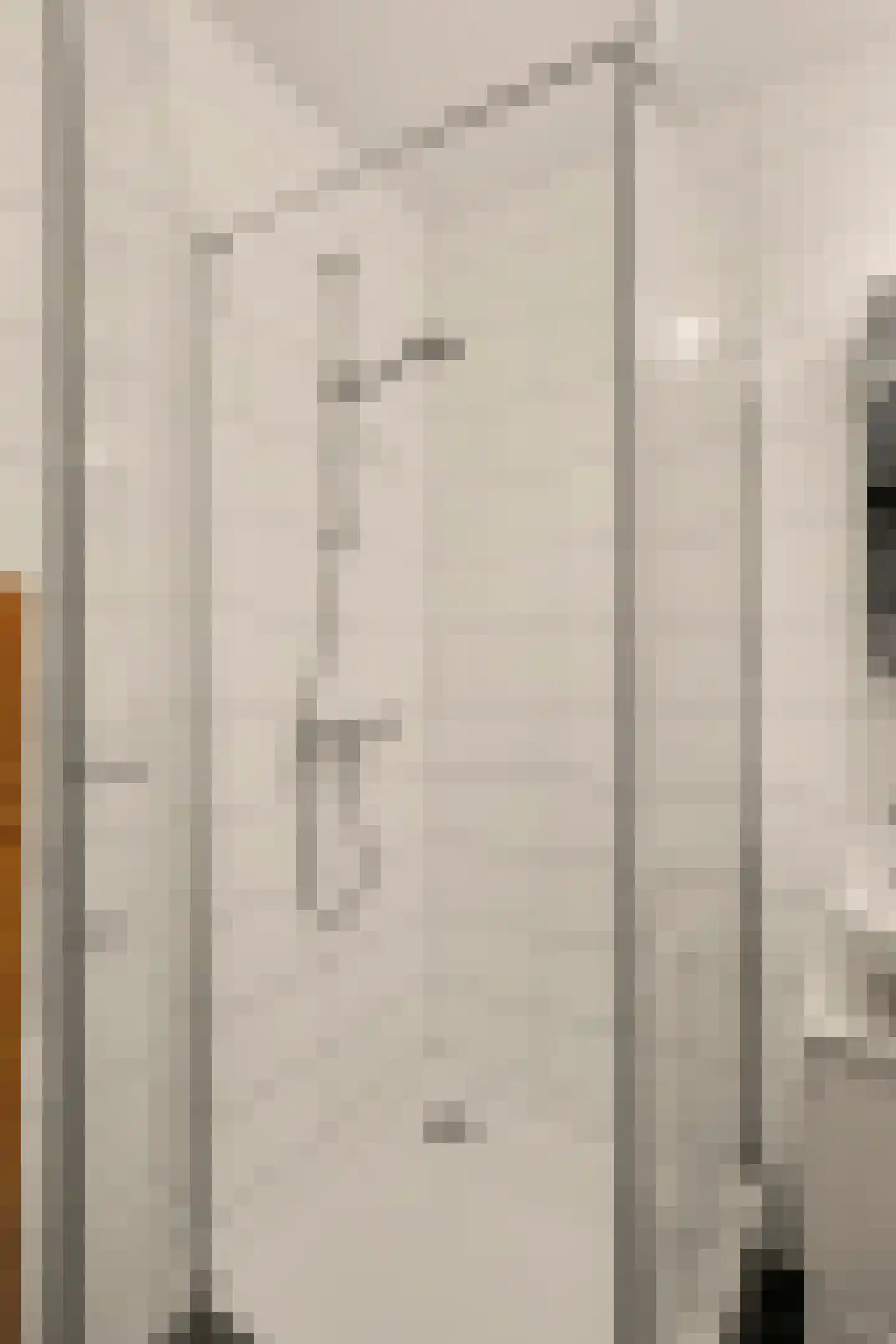 Markiezaat 14 Chaam thumbnail 35