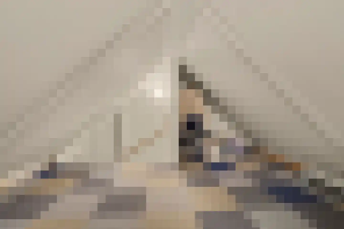 Markiezaat 14 Chaam thumbnail 38