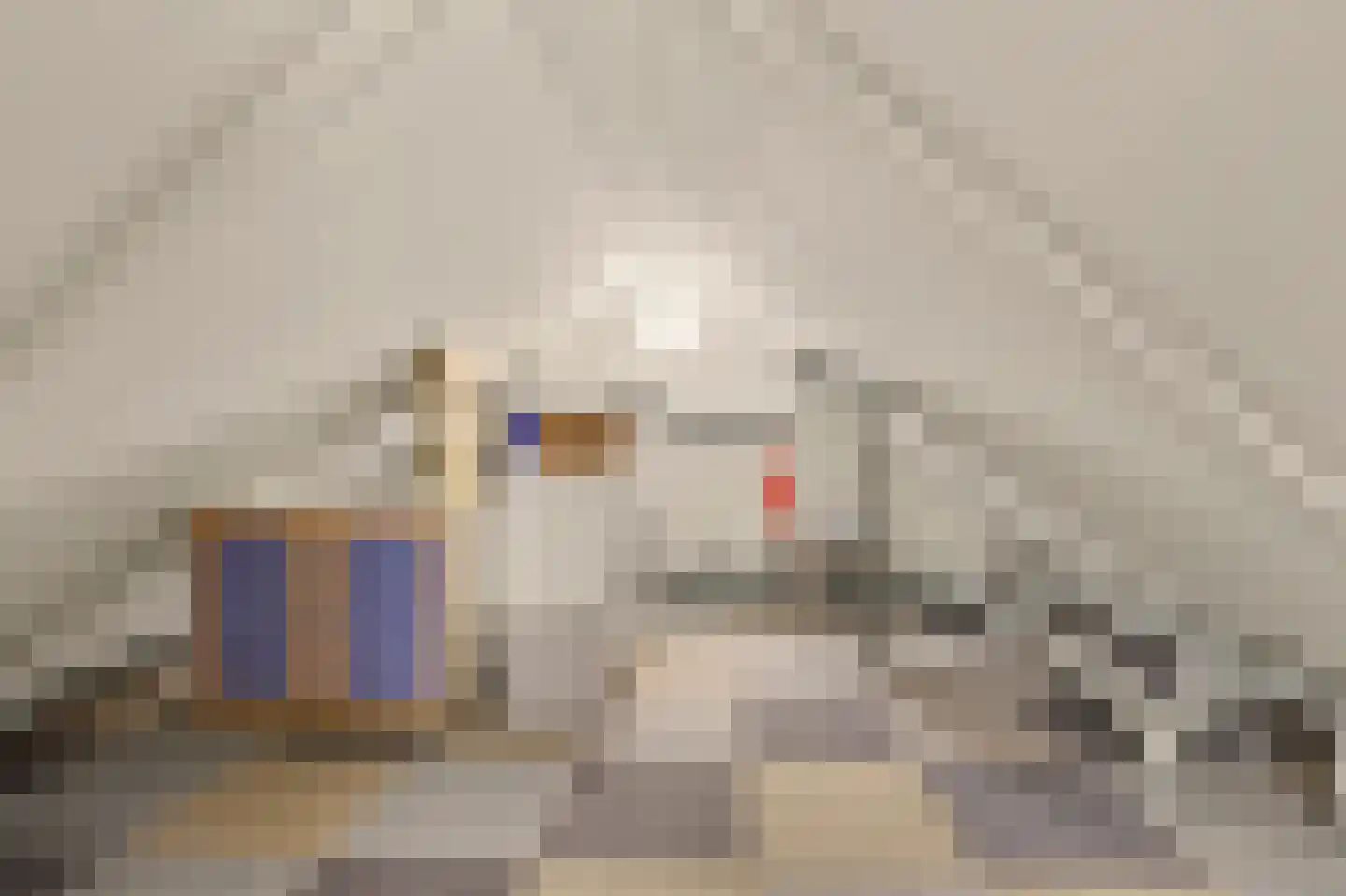 Markiezaat 14 Chaam thumbnail 39