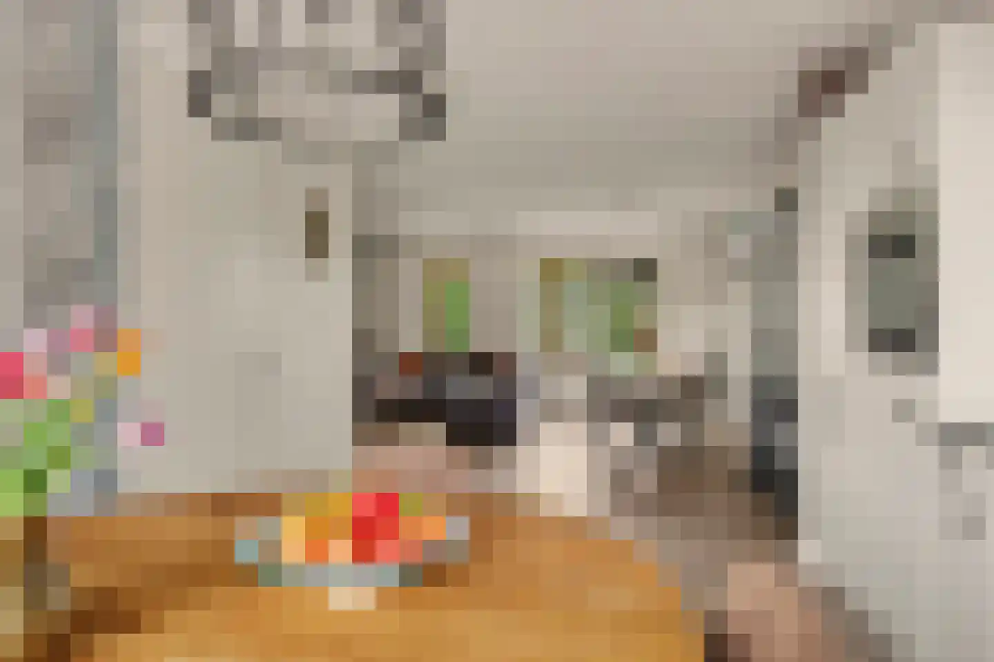 Markiezaat 14 Chaam thumbnail 4