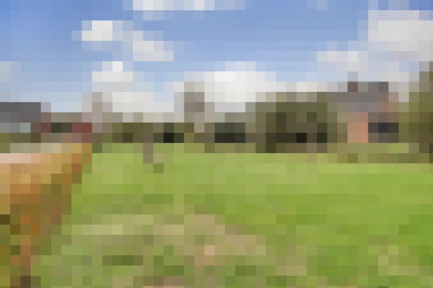Markiezaat 14 Chaam thumbnail 58
