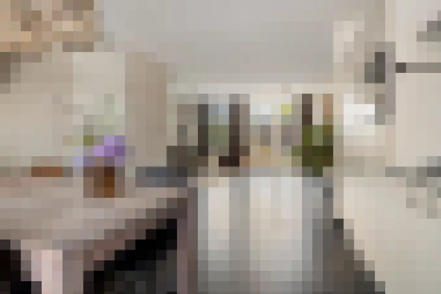 Markiezaat 6 Chaam thumbnail 14
