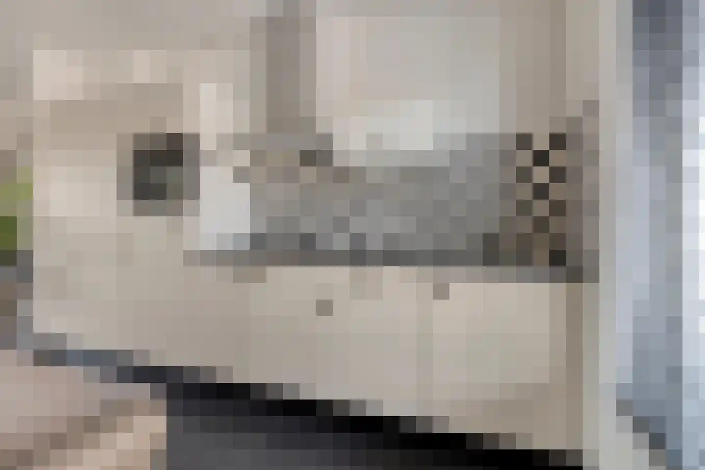Markiezaat 6 Chaam thumbnail 16