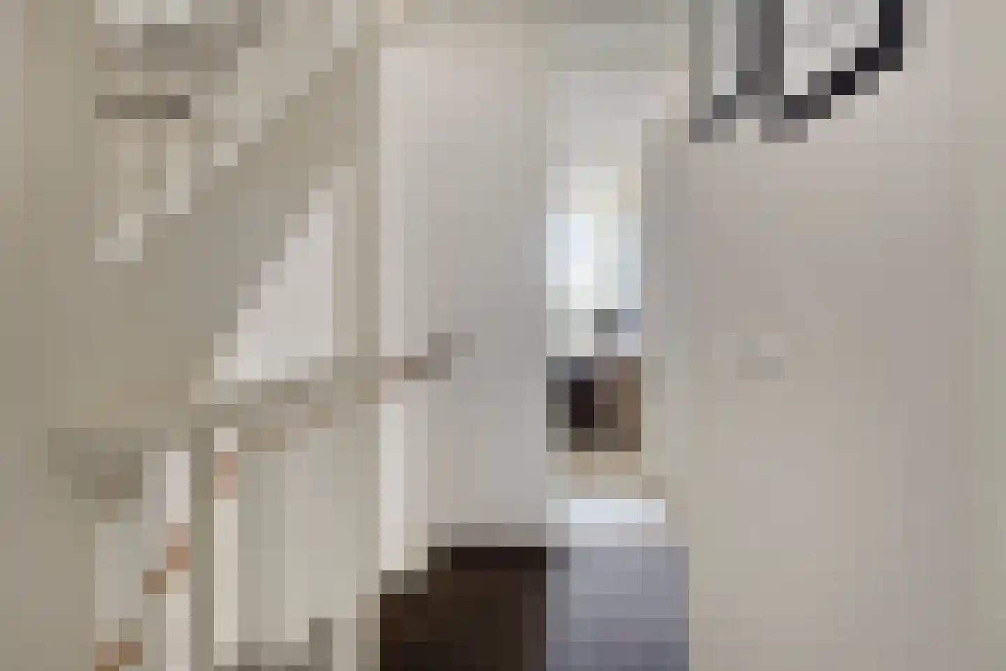 Markiezaat 6 Chaam thumbnail 17